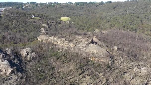 Filmagem Aérea Regeneração Florestal Após Incêndios Florestais Severos Nas Montanhas — Vídeo de Stock