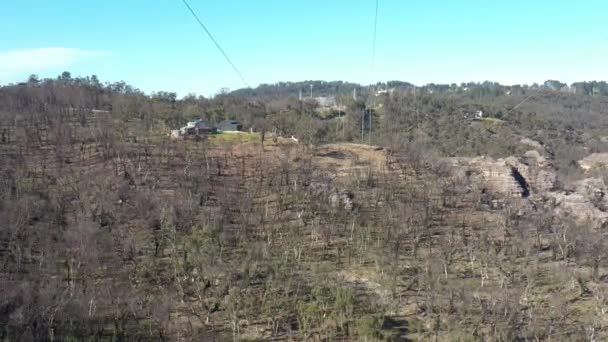 Imágenes Aéreas Regeneración Forestal Después Graves Incendios Forestales Las Montañas — Vídeo de stock