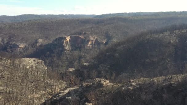 Flygbilder Skogsförnyelse Efter Allvarliga Skogsbränder Blue Mountains Regionala New South — Stockvideo