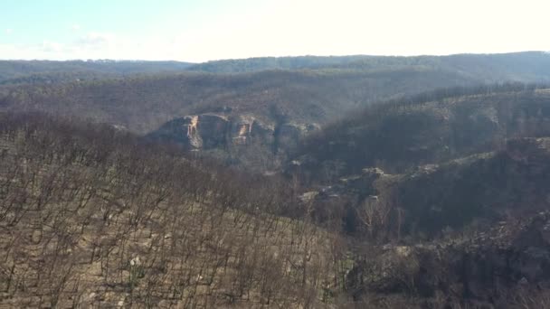 Filmagem Aérea Regeneração Florestal Após Incêndios Florestais Severos Nas Montanhas — Vídeo de Stock