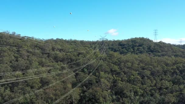 Avustralya Ormanla Çevrili Bir Nehirden Geçen Iletim Kulesi Kablolarının Hava — Stok video