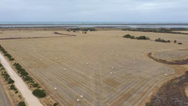 Imágenes Aéreas Balas Heno Enrolladas Campo Agrícola Seco Afectado Por — Vídeos de Stock