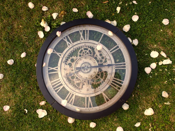 Zegar Ogrodzie Leżący Trawie Płatkami Róż Widocznym Mechanizmem Symbolem Upływu — Zdjęcie stockowe