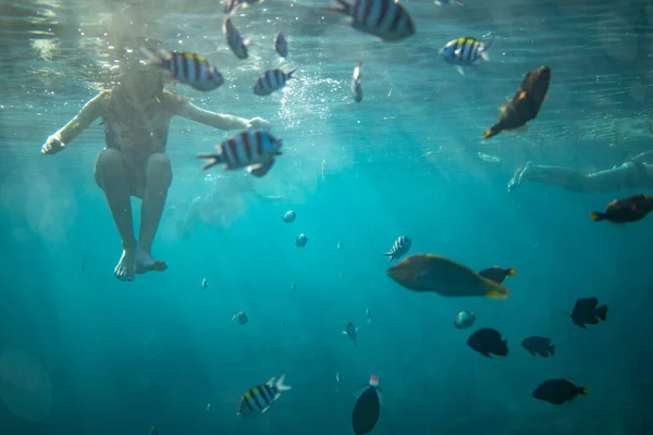 Snorkeling Subaquático Com Peixes Coloridos Água Cristalina — Fotografia de Stock