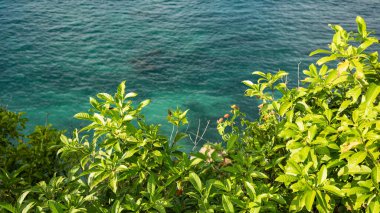 Endonezya, Bali 'de yeşil yemyeşil tropikal ağaçlarla muhteşem sahil manzarası.