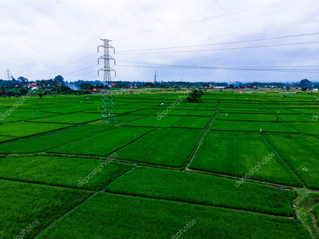 View from above of green rice fields of Tegallalang village, Ubud centre, Bali.