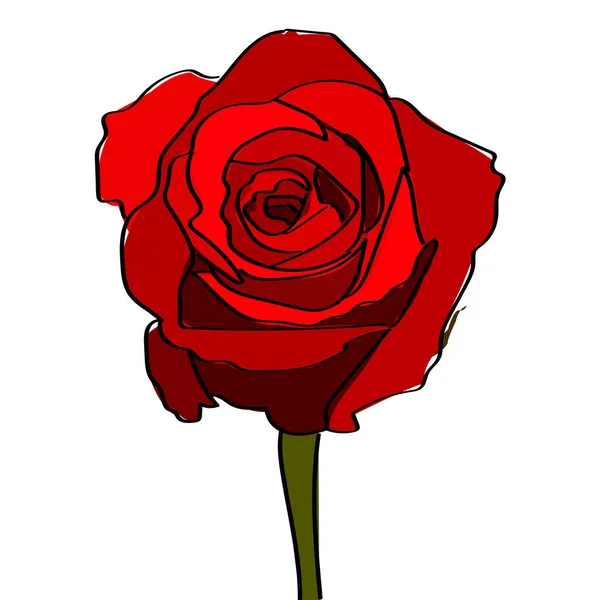 Rose Rouge Sur Fond Blanc Illustration Vectorielle — Image vectorielle