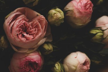 Pembe Güller Karanlık Bir Arkaplanda. Yumuşak Şakayık Buketi