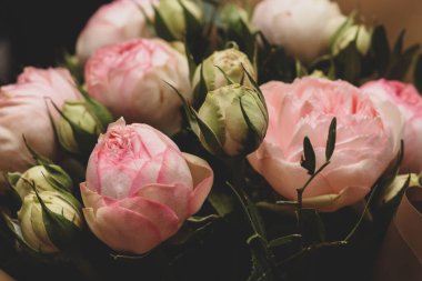 Pembe Güller Karanlık Bir Arkaplanda. Yumuşak Şakayık Buketi