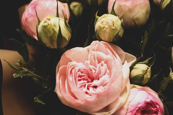 Pembe Güller Karanlık Bir Arkaplanda. Yumuşak Şakayık Buketi