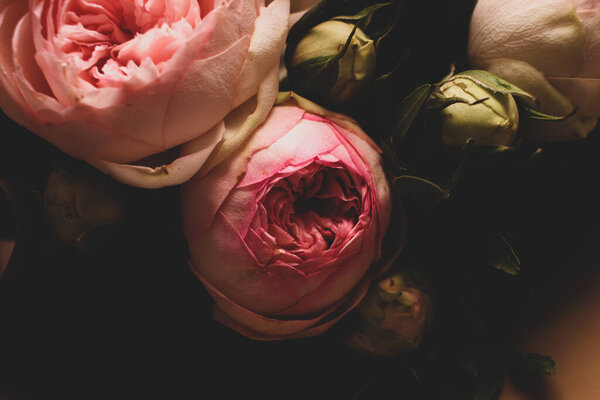 Розовые розы на тёмном фоне. Букет нежных пионов
