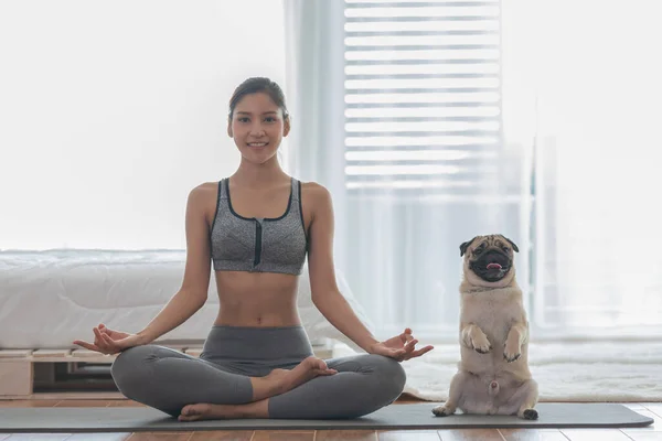 Mooie Aziatische Vrouw Praktijk Yoga Lotus Poseren Met Hond Pug — Stockfoto