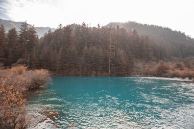 Jiuzhaigou Jiuzhai Vadisi Milli Parkı 'ndaki güzel berrak su gölü manzarası.