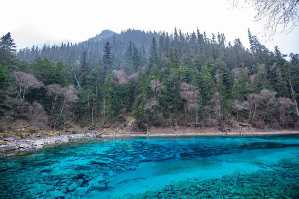 Beautiful Crystal Clear Water Lake View Jiuzhaigou Jiuzhai Valley National — Stock Photo, Image