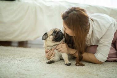 Güzel, Çekici Asyalı kadın tatlı köpek pug cinsini öpüyor. Sıkıcı ve komik yüzüyle yatakta. Çok tatlı ve sevimli.