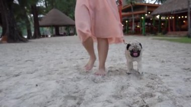 Kumsalda köpek yavrusuyla çıplak ayakla yürüyen genç bir kadının bacağını kapat. Tatillerde köpeğiyle rahatla. Yaz tatillerinde seyahat kavramları.