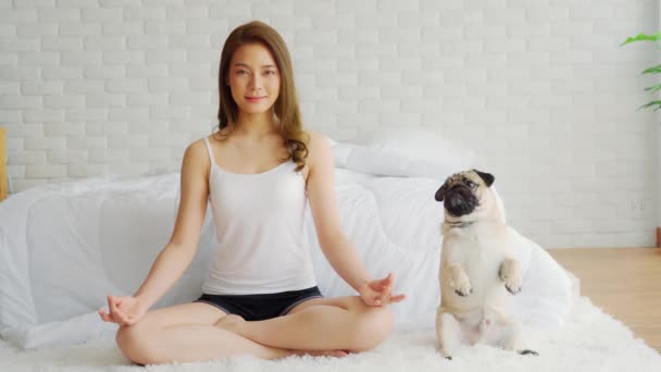 Wanita Asia Yang Cantik Berlatih Yoga Teratai Berpose Dengan Anjing — Stok Video