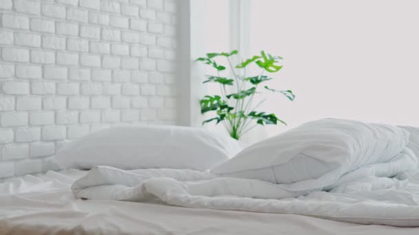 有白色枕头的床 早上卧室里有自然光的毛毯 醒来后床又脏 床又脏又舒服 — 图库视频影像