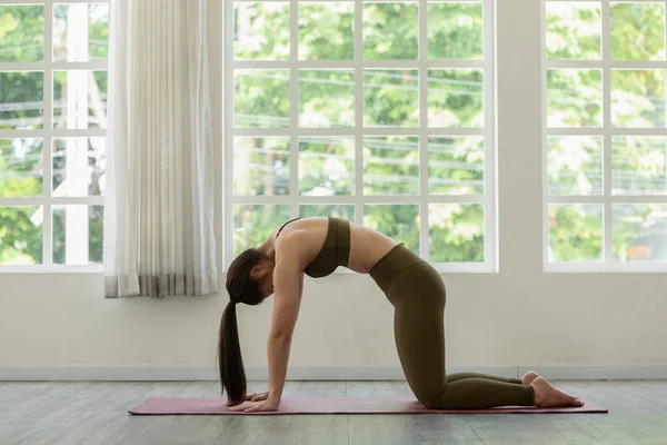 Atletisk Asiatisk Kvinna Sportkläder Praxis Yoga Katt Pose Till Meditation — Stockfoto
