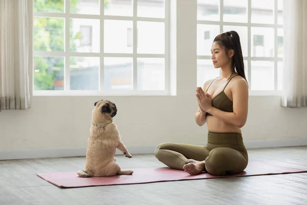 Belle Femme Asiatique Pratique Pose Lotus Yoga Avec Chien Chiot — Photo