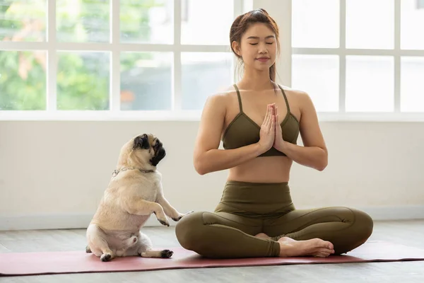 Wanita Asia Yang Cantik Berlatih Yoga Teratai Berpose Dengan Anjing — Stok Foto