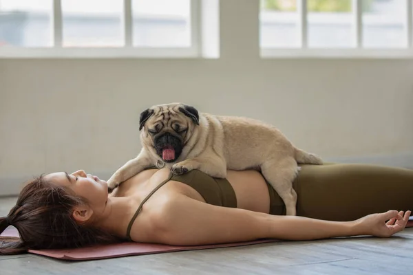 woman practice yoga with dog pug breed enjoy and relax with yoga at home,Recreation with Dog Concept