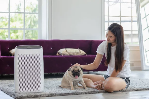 Woman Playing Dog Pug Breed Air Purifier Cozy White Living — Stock Photo, Image