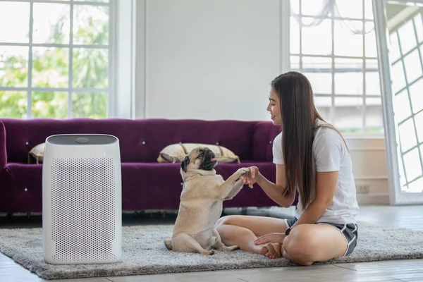 Woman Playing Dog Pug Breed Air Purifier Cozy White Living — Stock Photo, Image