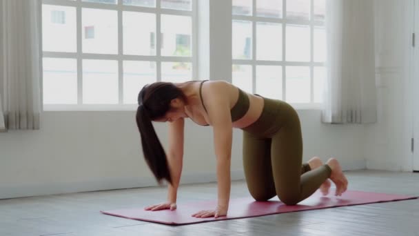 Belle Attrayant Asiatique Femme Pratique Yoga Vers Bas Face Chien — Video