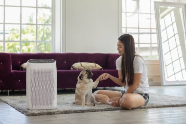 Köpek Pug Breed ve Hava Arındırıcı ile oynayan kadın, filtre ve temizlik için rahat beyaz yatak odasında temiz hava ve sağlıklı yaşam için evdeki toz PM2.5 HEPA 'yı temizliyor.