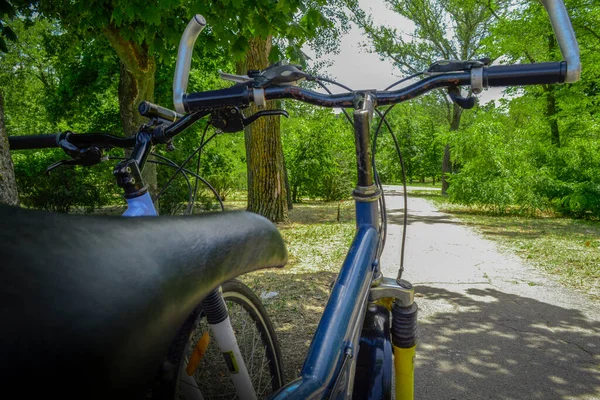 Flicka Rida Cykel Parken — Stockfoto