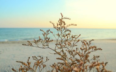 Deniz manzaralı. Ufuk. Güzel manzara. Gözlükler