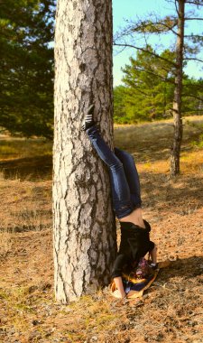 Güzel doğa. Ufuk manzaralı. Bitki ve deniz