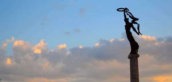 Güzel doğa. Ufuk manzaralı. Bitki ve deniz