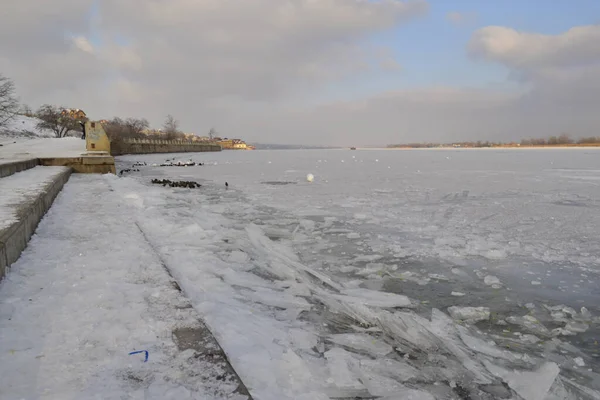 Güzel doğa. Ufuk manzaralı. Bitki ve deniz