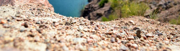 Güzel doğa. Ufuk manzaralı. Bitki ve deniz