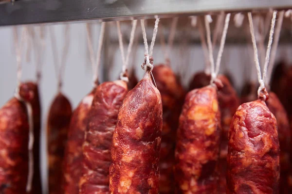 Factory for the production of meat products, cured sausages. Traditional spicy sausage hanging to dry, covered with fungus. Concept of handmade meat products. Delicacy. dry sausage hanging in drying roo