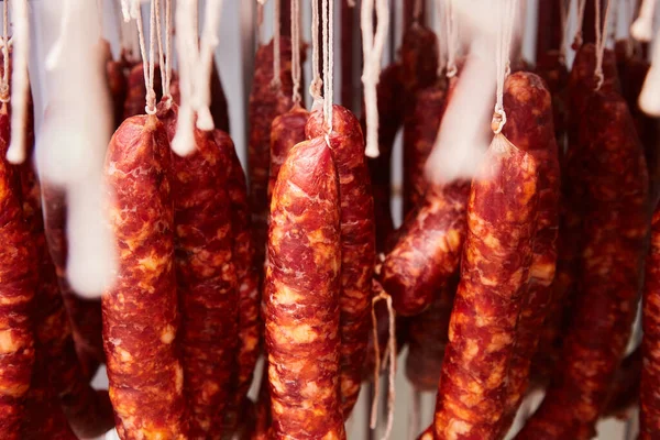 Factory for the production of meat products, cured sausages. Traditional spicy sausage hanging to dry, covered with fungus. Concept of handmade meat products. Delicacy. dry sausage hanging in drying roo