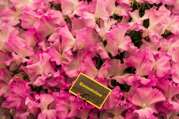 Красивый Фон Сладкого Горошка Полном Расцвете — стоковое фото
