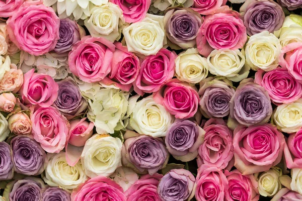 Gül arka plan beyaz mor ve pembe çiçekler