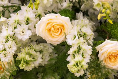 Bir arka plan tam Bloom güzel çiçek