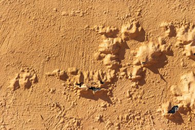 Duvardaki arkaplan dokusunun soyulmasını boya