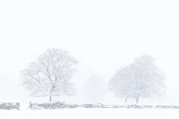 Inverno na fazenda — Fotografia de Stock