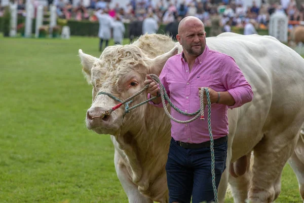 A juzgar por las promesas realizadas en el Salón de Gran Yorkshire — Foto de Stock