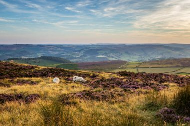 Peak District Ulusal Parkı Derbyshire UK
