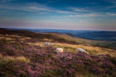 Peak District Ulusal Parkı Derbyshire UK