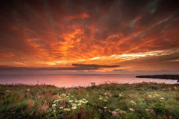 Fire Sky — Stock Photo, Image