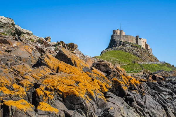 Kasteel Lindisfarne Het Heilige Eiland Northumberland Holy Island Een Getijdeiland — Stockfoto