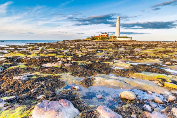 Mary Lighthouse North Whitley Bay North East Coast England Low — Stock Photo, Image