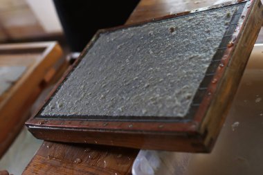 Fil dışkılarından kağıt üretimi, hazırlanmış ve temizlenmiş yarı bitmiş ürünler. İnce bir tabaka ince bir elek ile çerçeve üzerine yerleştirilmiş, tuvale aktarılmaya hazır.